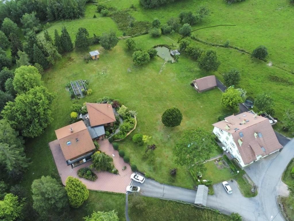 ※ Residence Pomme De Pin - Terrasse - Nature ※ Xonrupt-Longemer Exterior foto